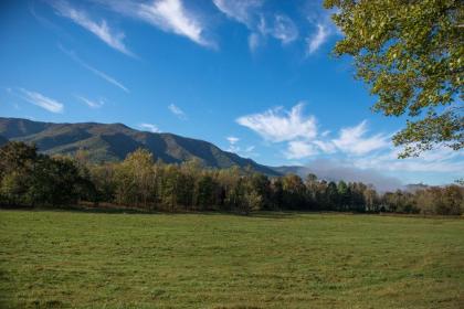 Hogwartz of the Smokies Cabin - image 2