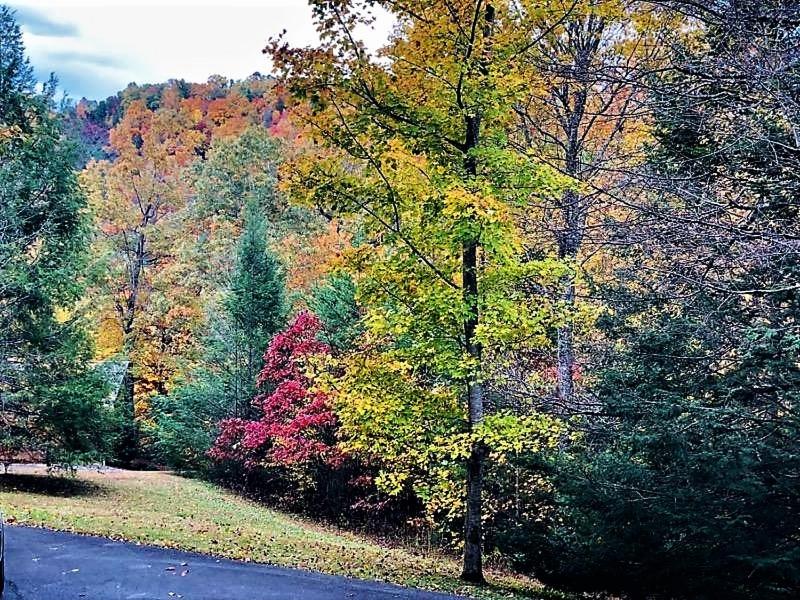 Smokies Edge Chalet - image 4