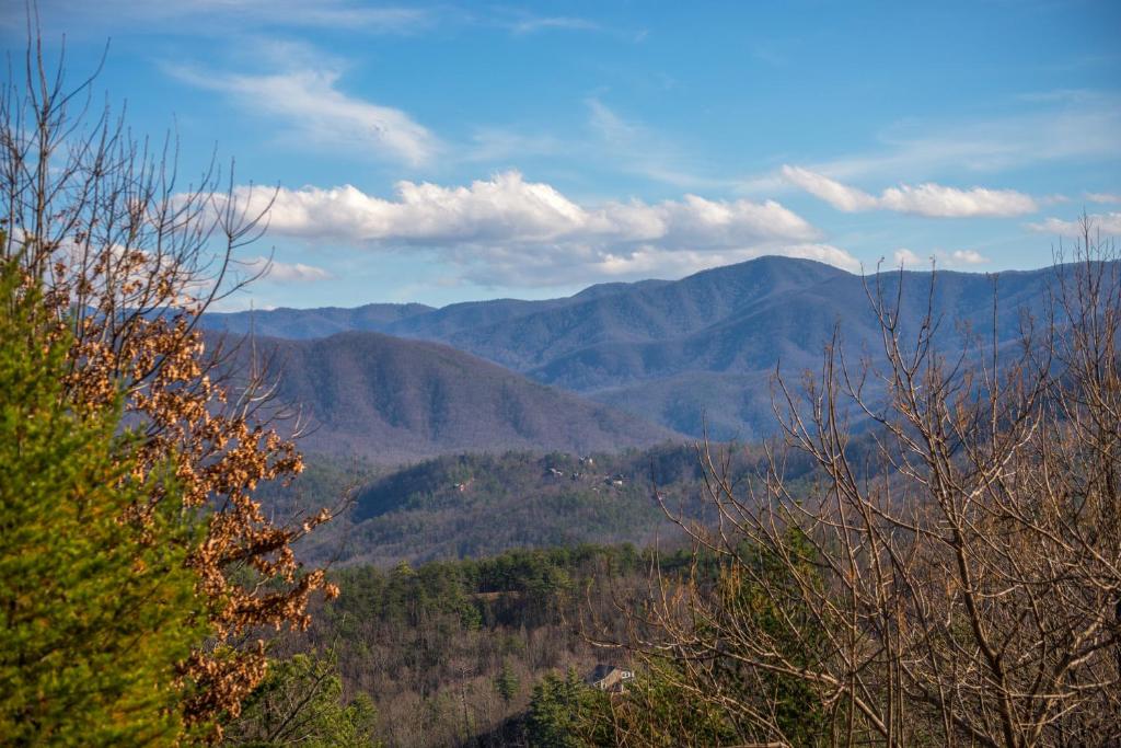 Above the Smokies - image 2