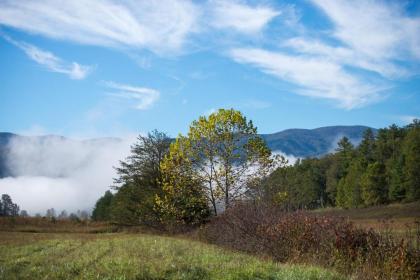 Above the Smokies - image 5