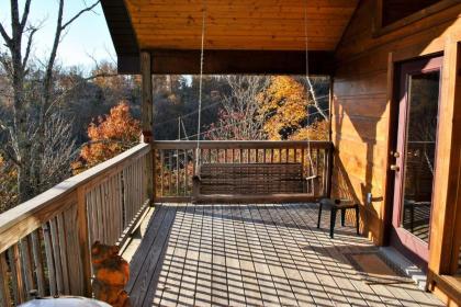 A Painted Pony Cabin - image 3