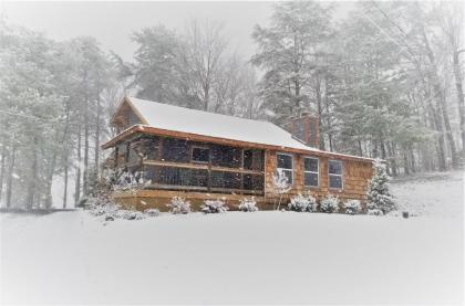 Smoky Mountain Loft - image 4