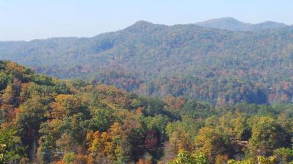 Smoky Mountain Majesty - image 3