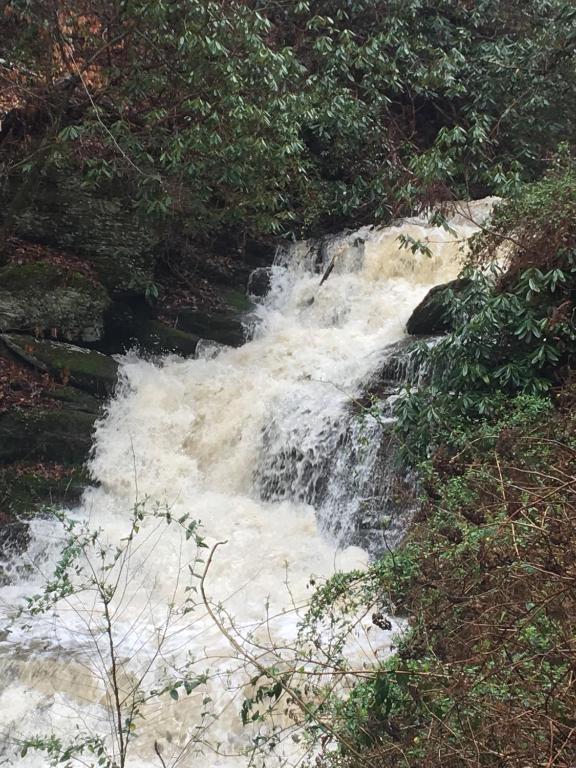 Smoky Mountain Rain - image 5