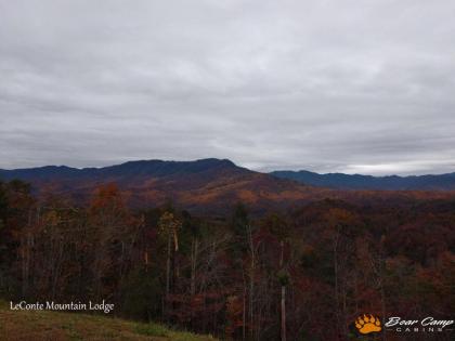 Leconte Mountain Lodge - image 4