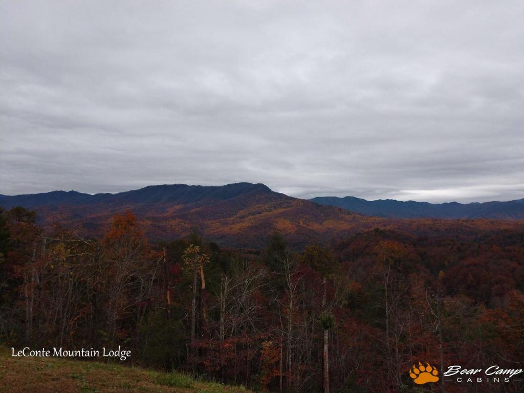 Leconte Mountain Lodge - image 4