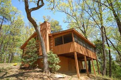 A Secluded Bearadise Sevierville