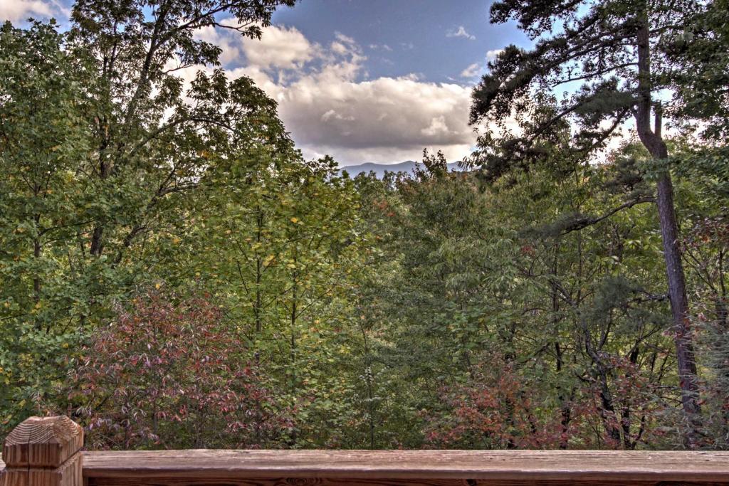 Smoky Mountain Cabin with View From Hot Tub and Deck! - image 3