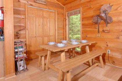 Amazing View #223 by Aunt Bug's Cabin Rentals - image 3