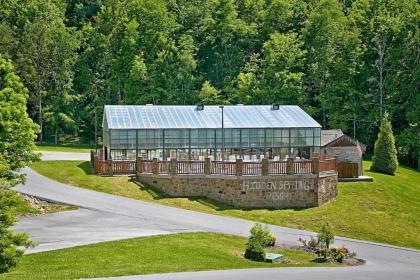 Buckhead #259 by Aunt Bug's Cabin Rentals - image 14