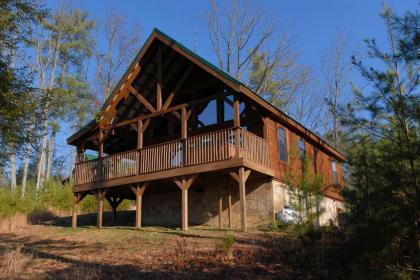 Wow  What A Cabin #255 by Aunt Bugs Cabin Rentals