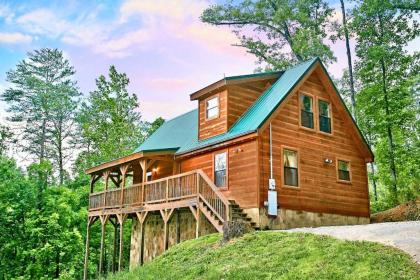 A BearS Eye View #251 by Aunt Bugs Cabin Rentals Tennessee