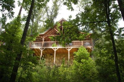 A Bear'S Eye View #251 by Aunt Bug's Cabin Rentals - image 12