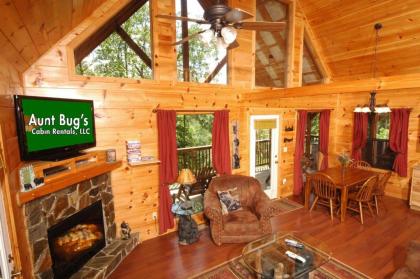 A Bear'S Eye View #251 by Aunt Bug's Cabin Rentals - image 2