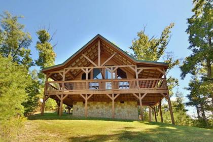 Dare to Bear #238 by Aunt Bugs Cabin Rentals Tennessee