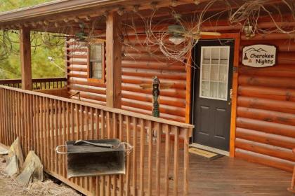 Cherokee Nights #132 by Aunt Bug's Cabin Rentals - image 8