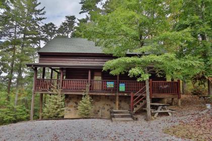 Black Bear Hibernation #2825 by Aunt Bugs Cabin Rentals Sevierville