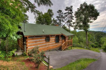 Apple Bear View #116 by Aunt Bugs Cabin Rentals Sevierville