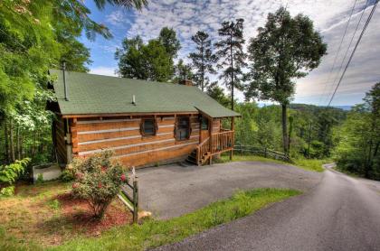 Apple Bear View #116 by Aunt Bug's Cabin Rentals - image 12