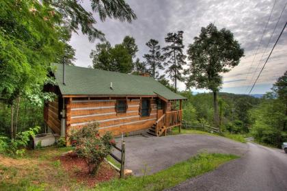 Apple Bear View #116 by Aunt Bug's Cabin Rentals - image 7