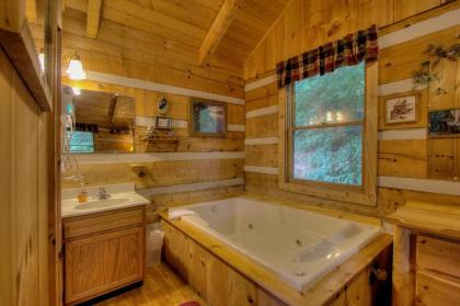 Apple Bear View #116 by Aunt Bug's Cabin Rentals - image 9