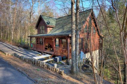 Nestled Inn #214 by Aunt Bug's Cabin Rentals - image 16