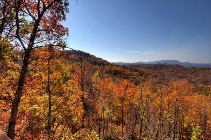 Morning View #131 by Aunt Bug's Cabin Rentals - image 11