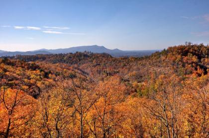 Morning View #131 by Aunt Bug's Cabin Rentals - image 8