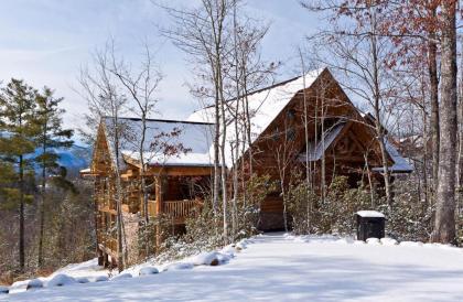 Big Bear Ridge Lodge - Breathtaking mountain views and private forest scenes in amazing large log cabin - image 2