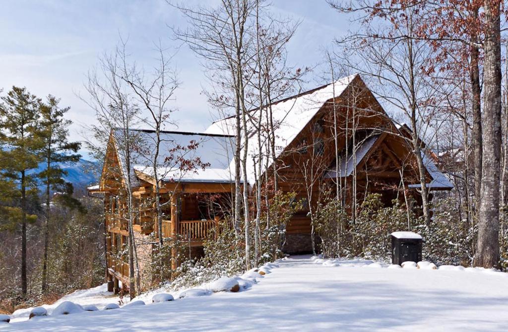 Big Bear Ridge Lodge - Breathtaking mountain views and private forest scenes in amazing large log cabin - image 2