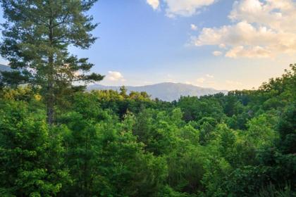 Big Bear Ridge Lodge - Breathtaking mountain views and private forest scenes in amazing large log cabin - image 9