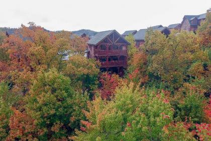 Mountain Dreams - Spacious Retreat with Views - image 7