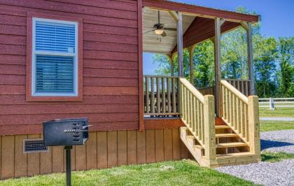 Bunk House cabin - image 3