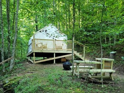 Tentrr Signature Site - Happy Hollow Hideaway Creekside - image 9