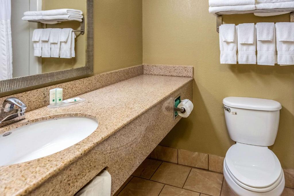 Quality Inn & Suites - image 3