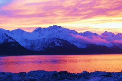 Arctic Paradise BB Seward