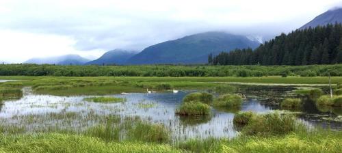 Arctic Paradise B&B - image 3