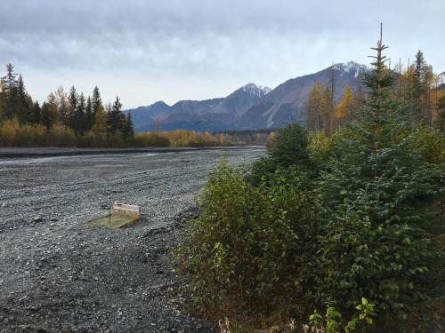 Glacier Creek Cabins - main image