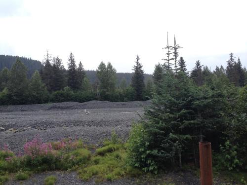 Glacier Creek Cabins - image 3