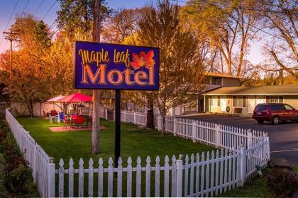 Maple Leaf Motel - image 15