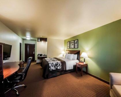 Sleep Inn and Suites Shamrock - image 15