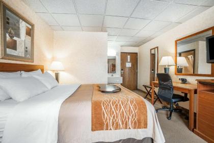 Comfort Inn & Suites Gateway to Glacier National Park - image 6