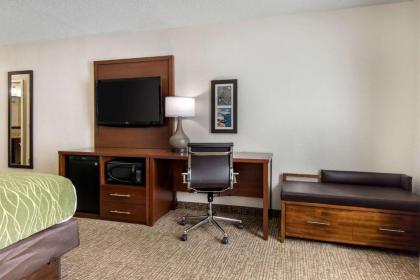 Comfort Inn - image 15