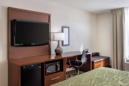 Comfort Inn - image 3