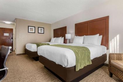 Comfort Inn - image 5