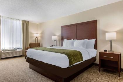 Comfort Inn - image 7