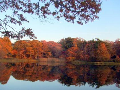 Bed and Breakfast in Shelter Island Heights New York