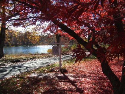 House on Chase Creek - image 11