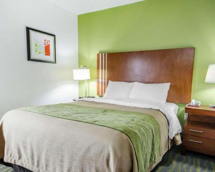 Comfort Inn Shepherdsville - Louisville South - image 13