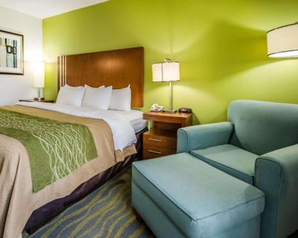 Comfort Inn Shepherdsville - Louisville South - image 9